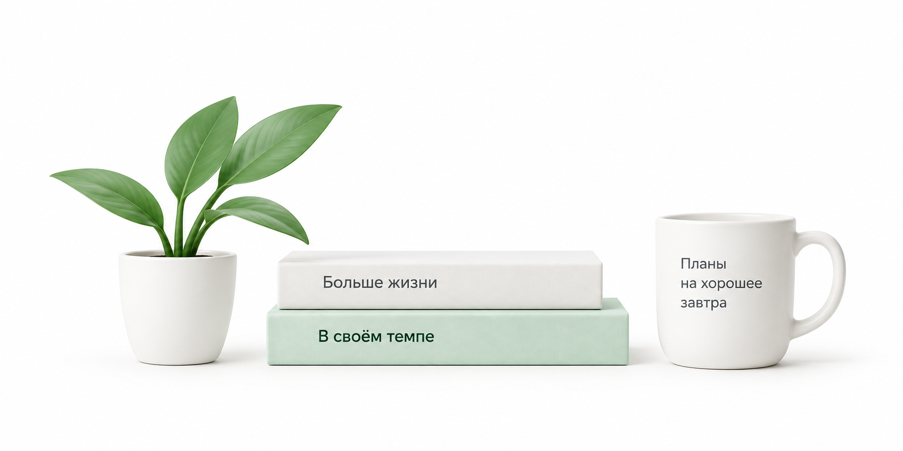 Растение, книги «Больше жизни» и «В своём темпе», чашка с планами на хорошее завтра